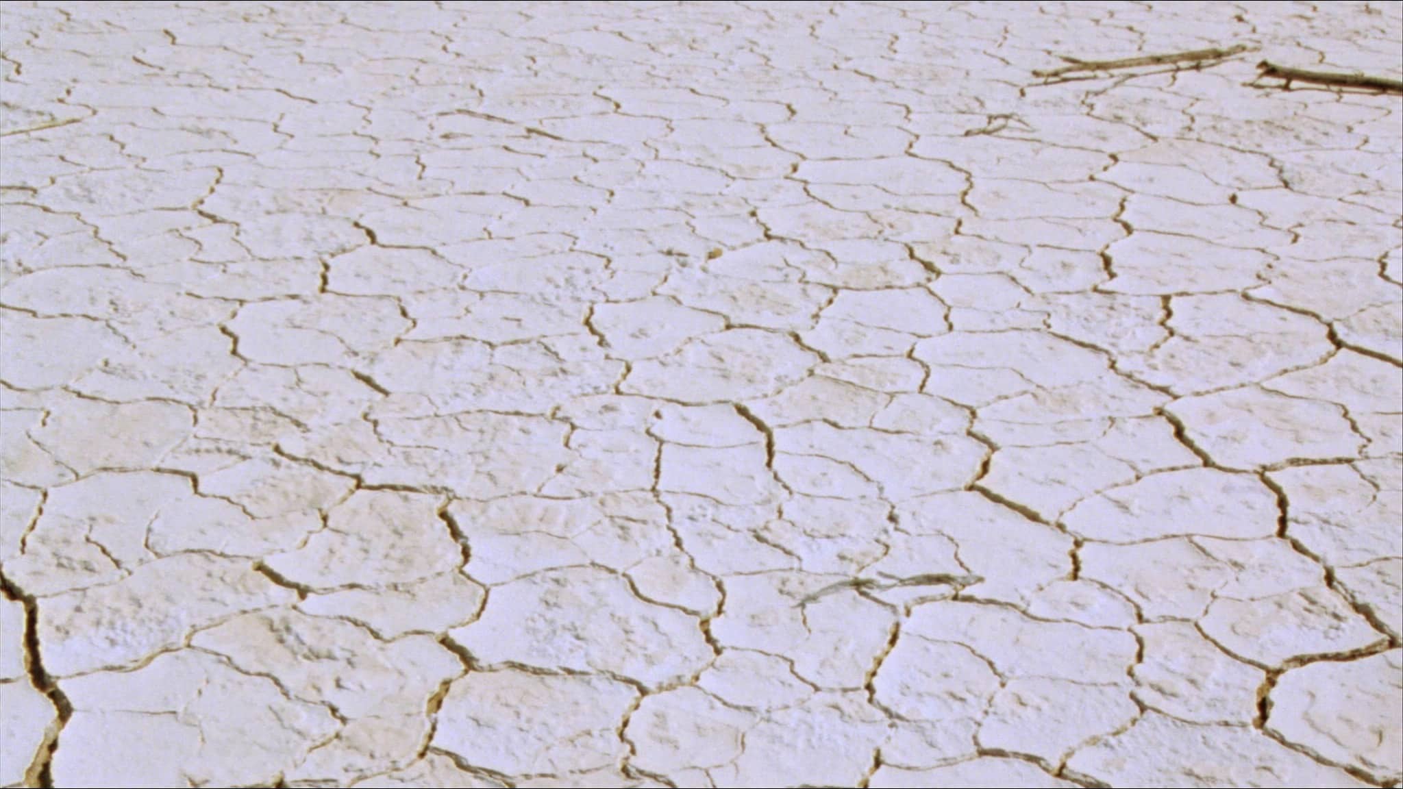 Sun-baked desert clay broken into wide polygonal cracks